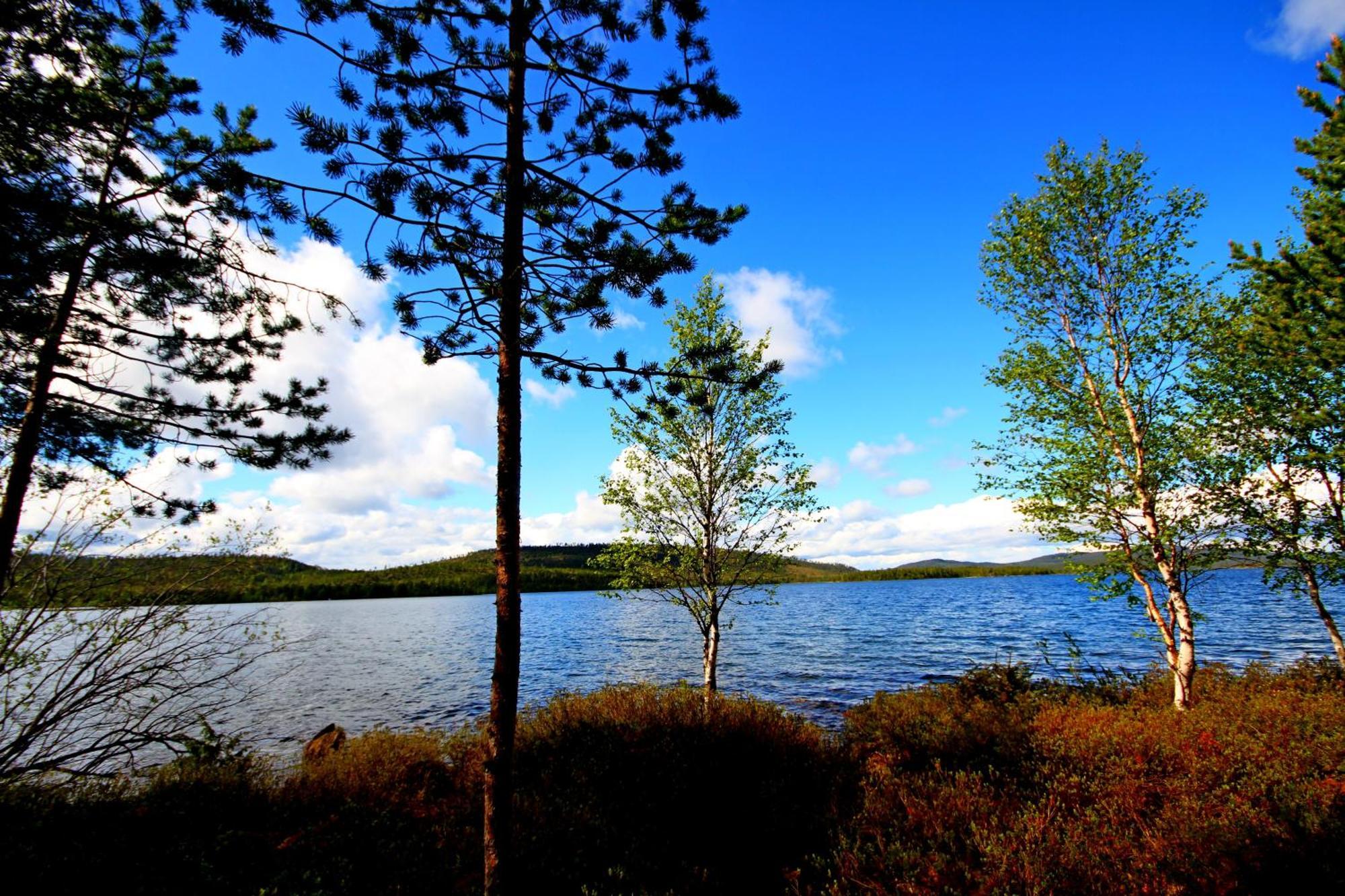 Ukonjaerven Holiday Village Ivalo Pokoj fotografie