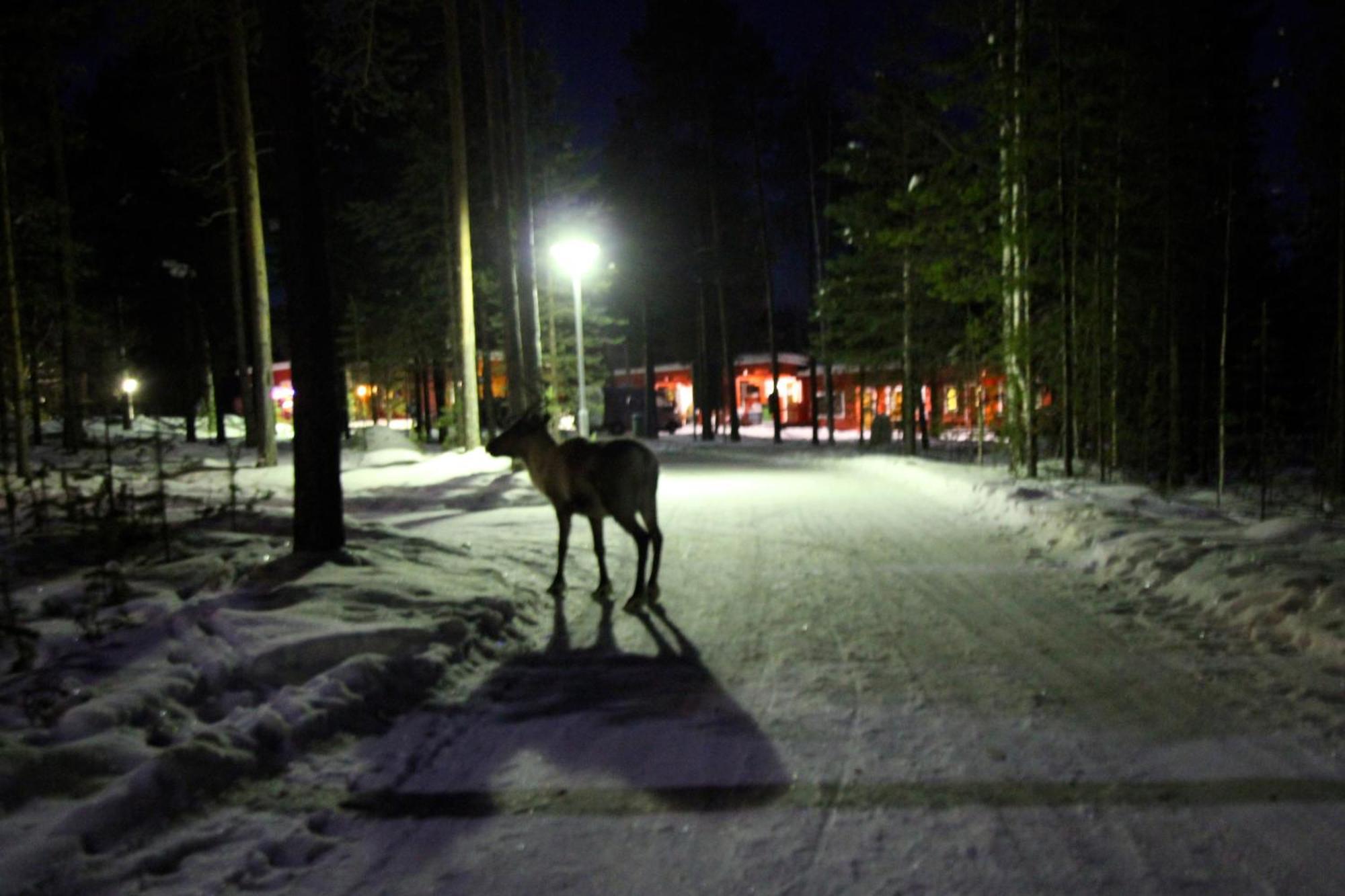 Ukonjaerven Holiday Village Ivalo Exteriér fotografie