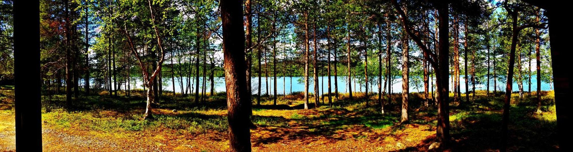 Ukonjaerven Holiday Village Ivalo Pokoj fotografie