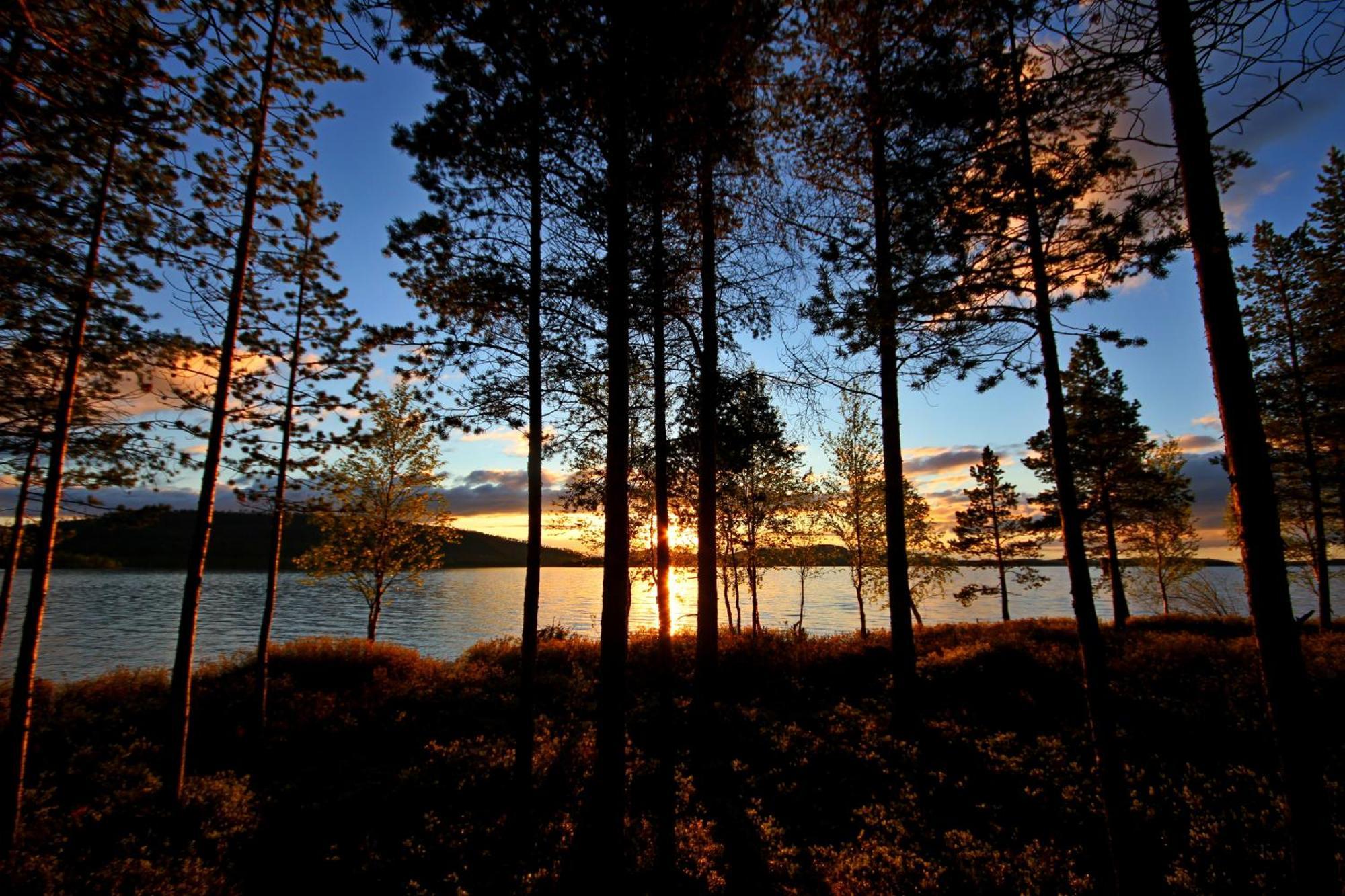 Ukonjaerven Holiday Village Ivalo Pokoj fotografie