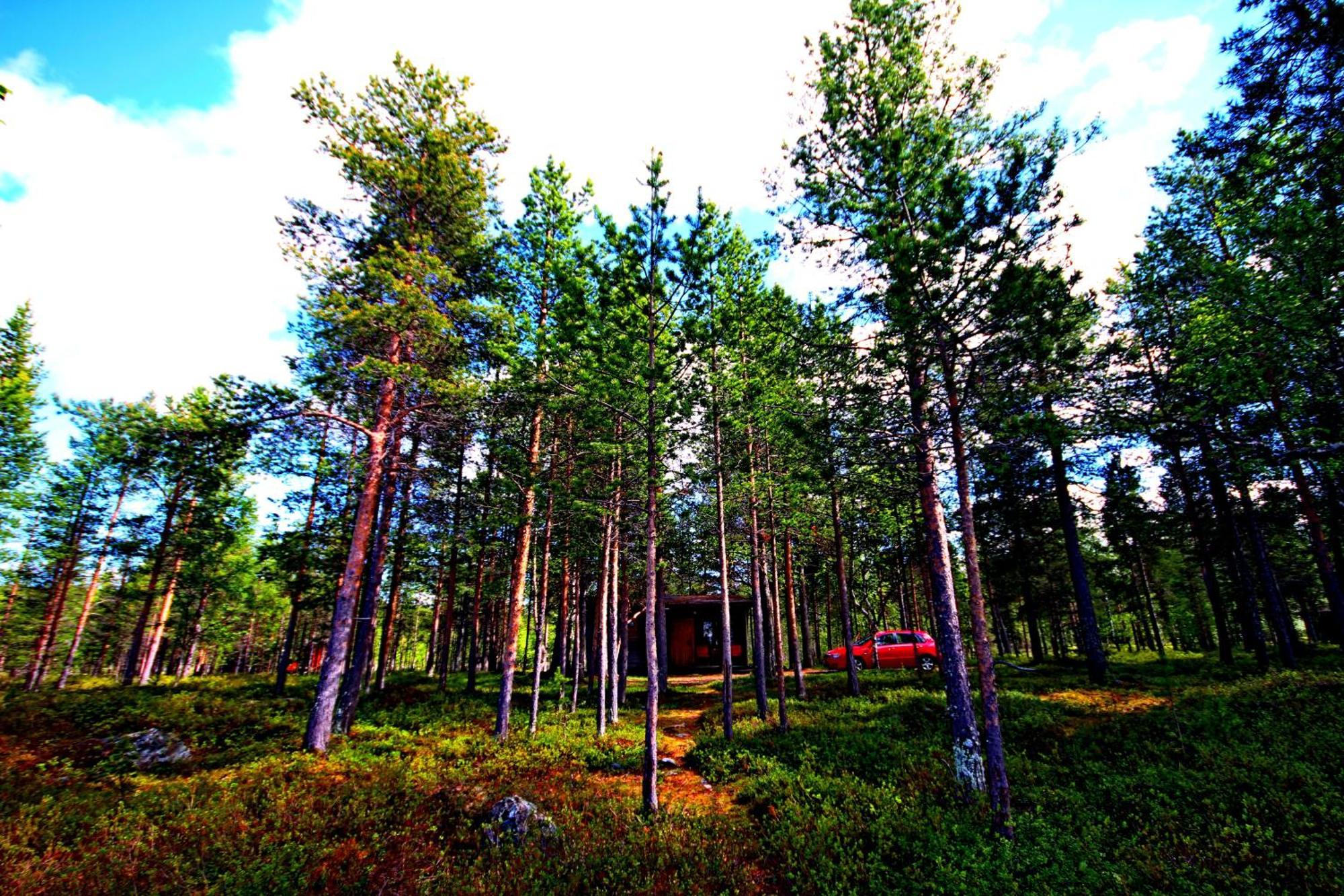 Ukonjaerven Holiday Village Ivalo Pokoj fotografie