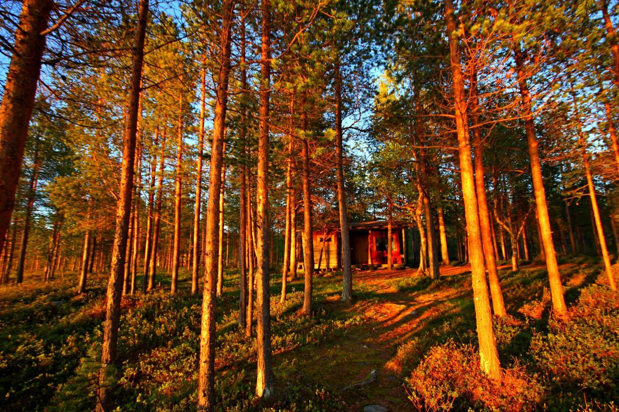 Ukonjaerven Holiday Village Ivalo Pokoj fotografie