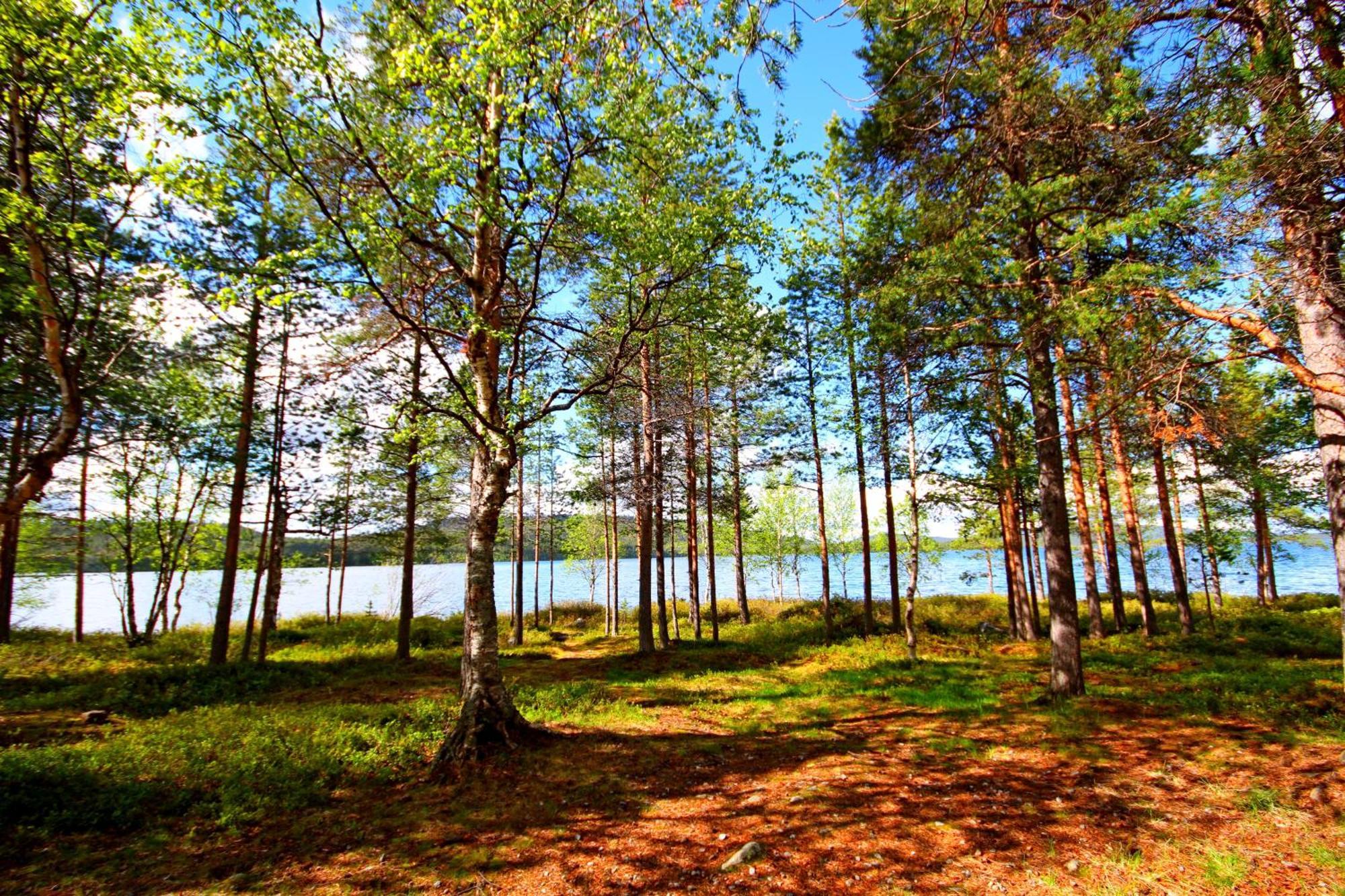 Ukonjaerven Holiday Village Ivalo Pokoj fotografie